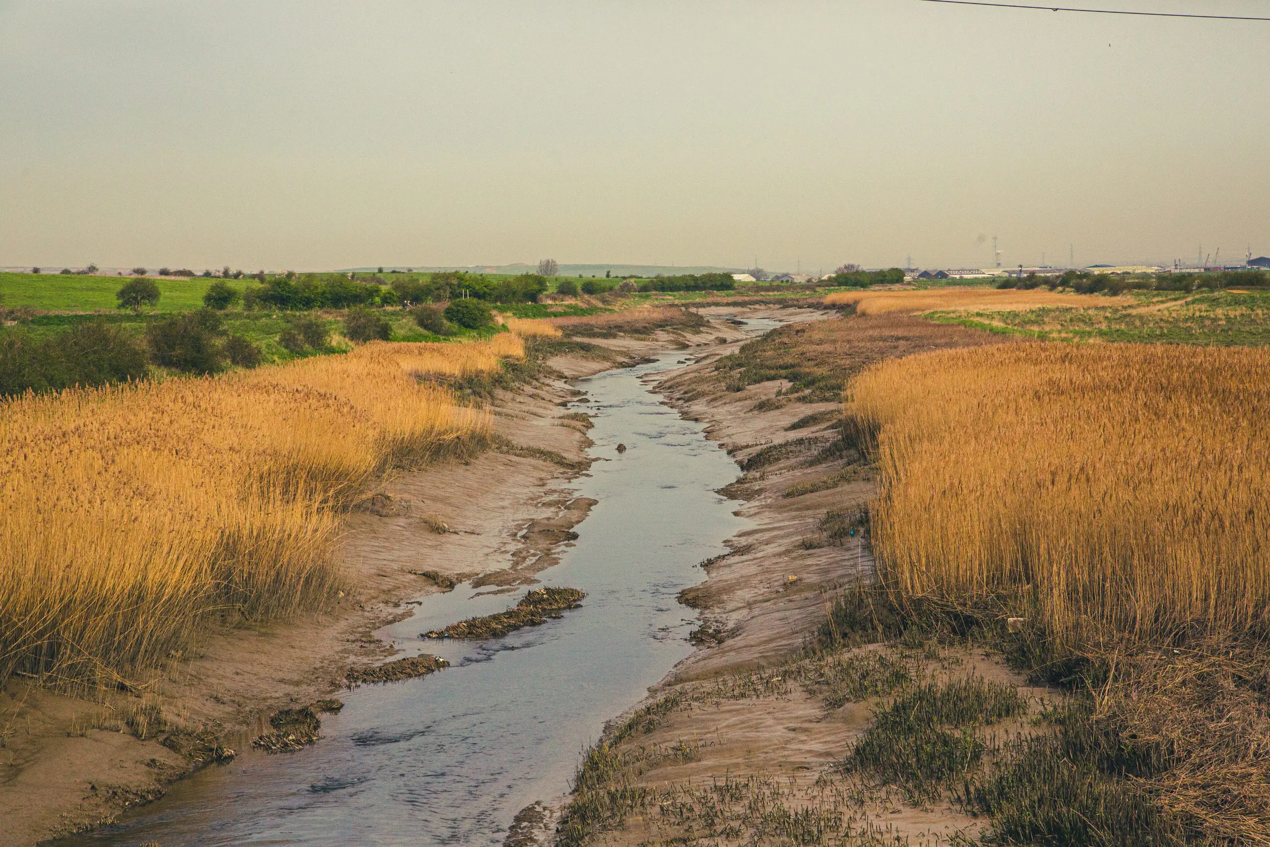 A shallow waterway in a field.