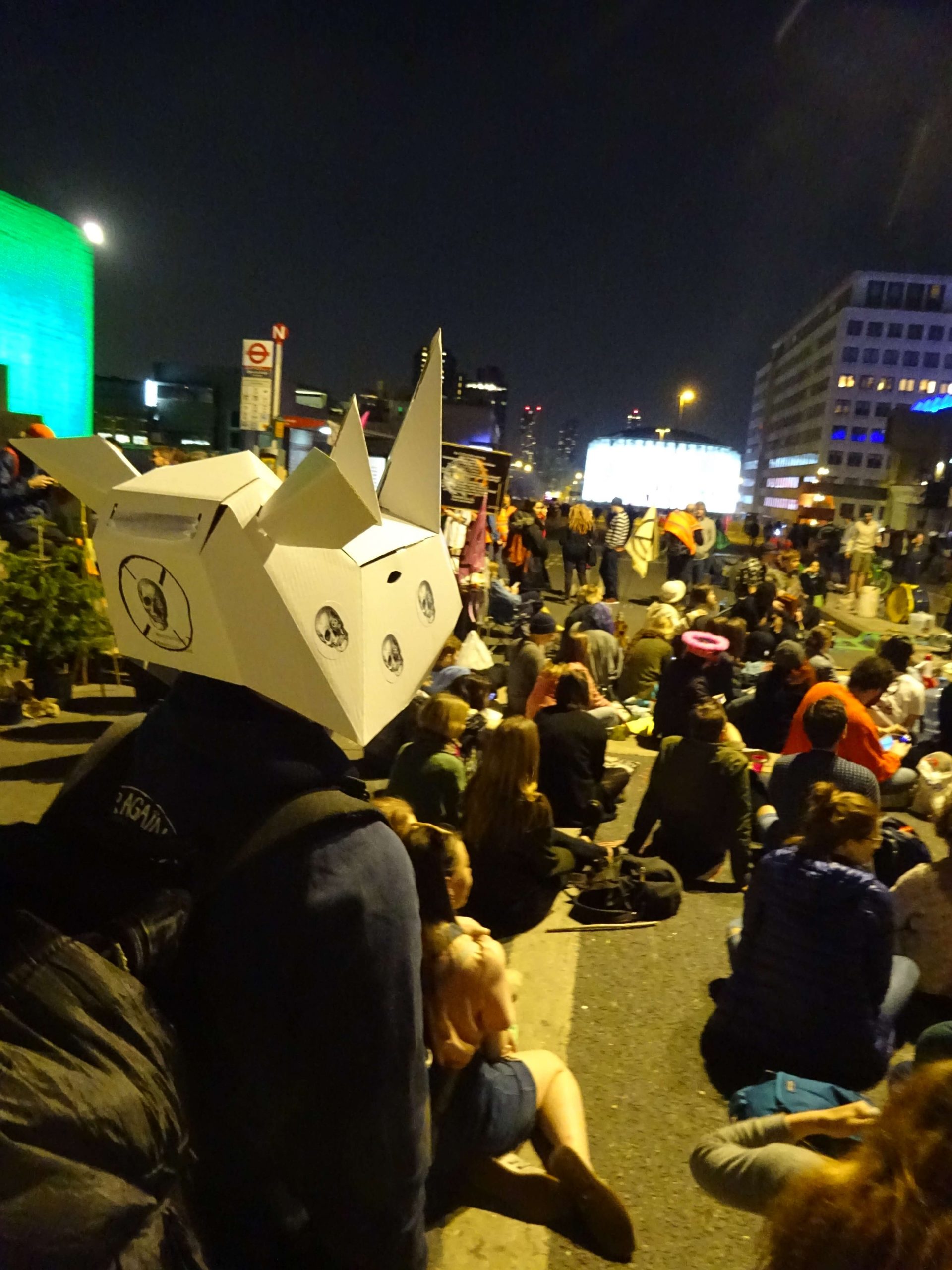 The back of a crowd at night in a city. Most are sitting on the ground. One person standing closest to the camera is wearing a 3D rhino mask made of cardboard, which they've decorated with skulls.
