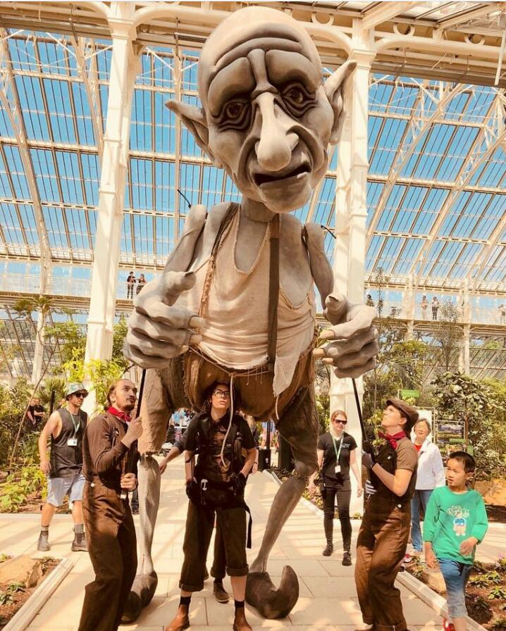 Four puppeteers (one barely visible behind another) support 'Gnomus' a giant sized puppet of a giant, with grey skin, pointed ears and a large nose. They're in a greenhouse with many plants and glass windows behind them.