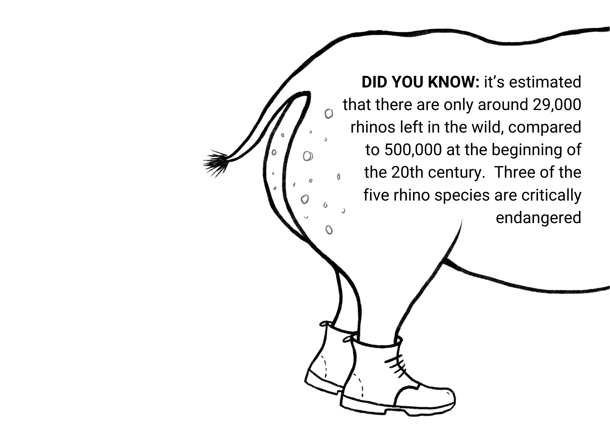 Illustration of a spotty rhino bum! It's wearing boots. Text over the top reads 'DID YOU KNOW: It's estimated that there are only around 29,000 rhinos left in the wild, compared to 500,000 at the beginning of the 20th century. Three of the five rhino species are critically endangered.'