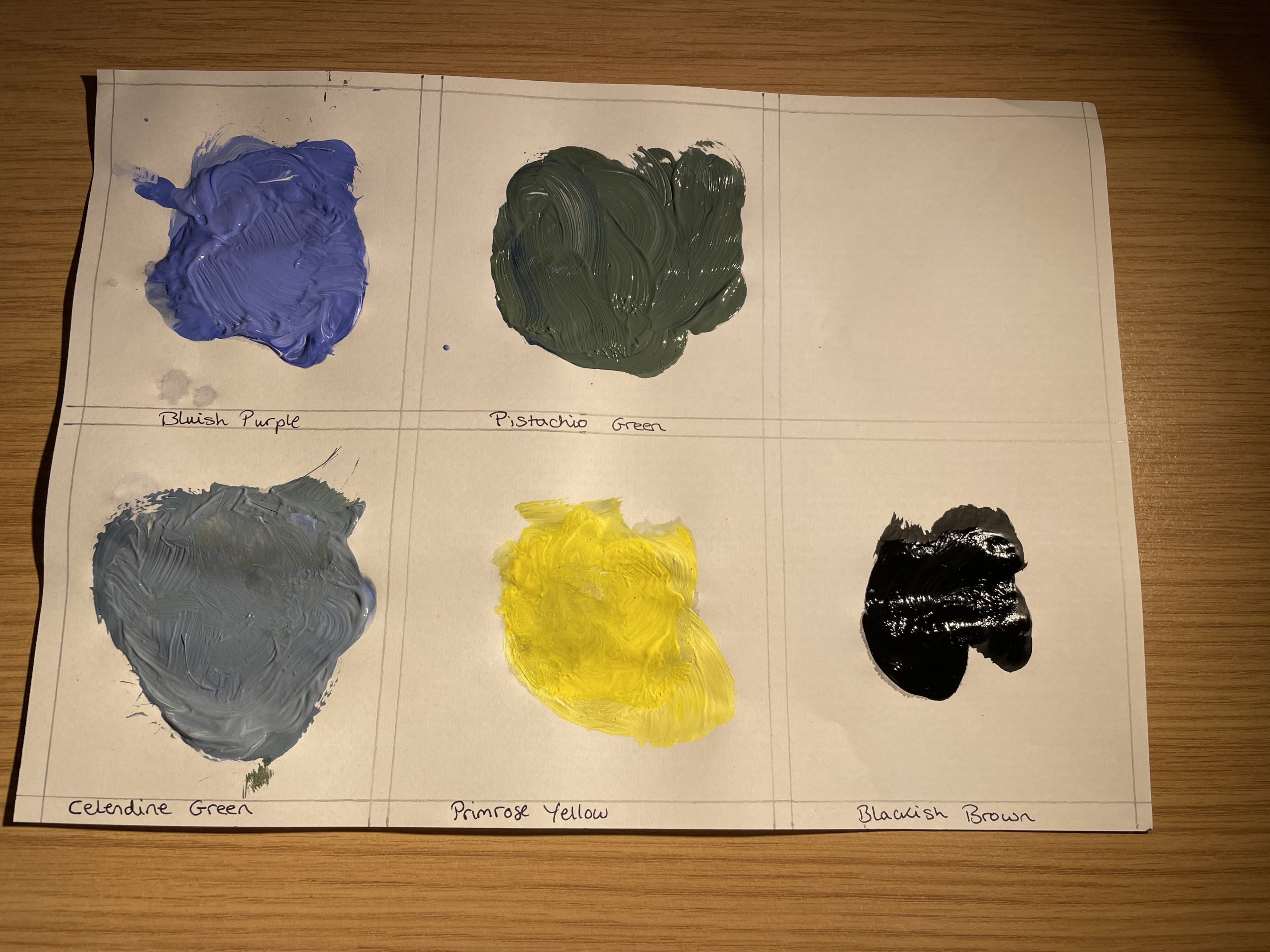 A piece of paper with five colours of paint, each in a separate section - they are labelled by colour: 'bluish purple', 'pistachio green', 'celendine green', 'primrose yellow', 'blackish brown'.